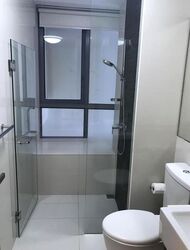 the-paterson-edge photo thumbnail #6